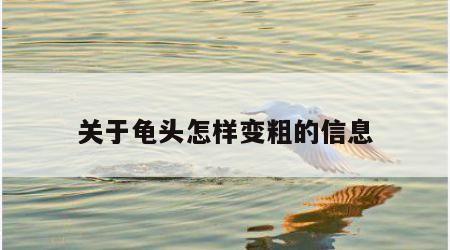 关于龟头怎样变粗的信息