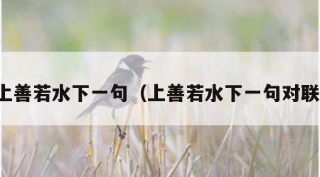 上善若水下一句（上善若水下一句对联）