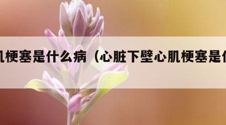 心肌梗塞是什么病（心脏下壁心肌梗塞是什么病）