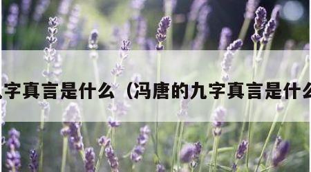 九字真言是什么（冯唐的九字真言是什么）