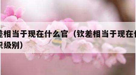 钦差相当于现在什么官（钦差相当于现在什么官职级别）