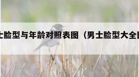 男士脸型与年龄对照表图（男士脸型大全图片）