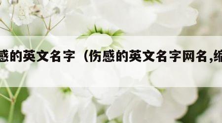 伤感的英文名字（伤感的英文名字网名,缩写）