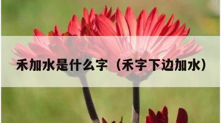禾加水是什么字（禾字下边加水）