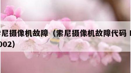 索尼摄像机故障（索尼摄像机故障代码 E31002）