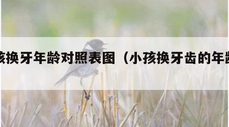小孩换牙年龄对照表图（小孩换牙齿的年龄图）