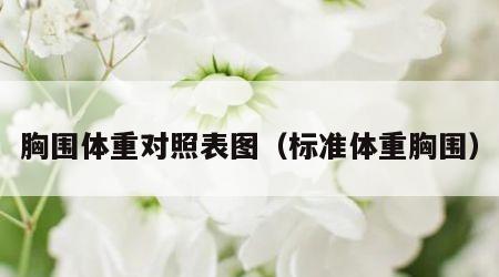胸围体重对照表图（标准体重胸围）