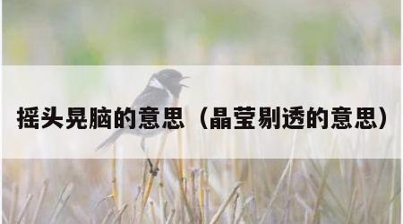 摇头晃脑的意思（晶莹剔透的意思）