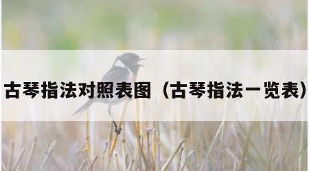 古琴指法对照表图（古琴指法一览表）