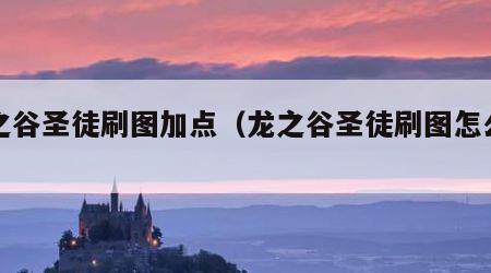 龙之谷圣徒刷图加点（龙之谷圣徒刷图怎么样）