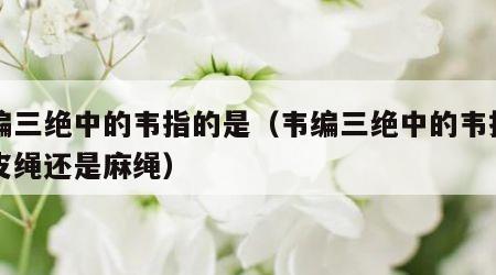 韦编三绝中的韦指的是（韦编三绝中的韦指的是皮绳还是麻绳）