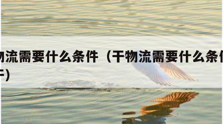 干物流需要什么条件（干物流需要什么条件才能干）