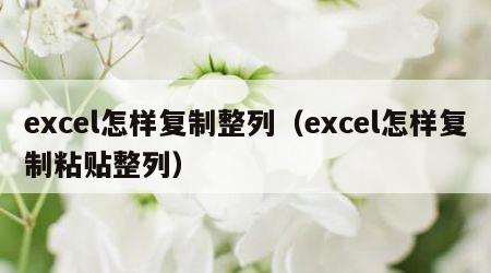 excel怎样复制整列（excel怎样复制粘贴整列）