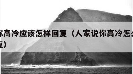 说你高冷应该怎样回复（人家说你高冷怎么神回复）