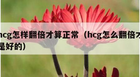 hcg怎样翻倍才算正常（hcg怎么翻倍才是好的）