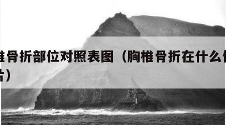 胸椎骨折部位对照表图（胸椎骨折在什么位置图片）
