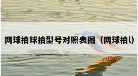 网球拍球拍型号对照表图（网球拍l）