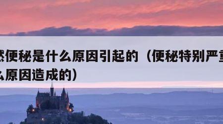 突然便秘是什么原因引起的（便秘特别严重是什么原因造成的）
