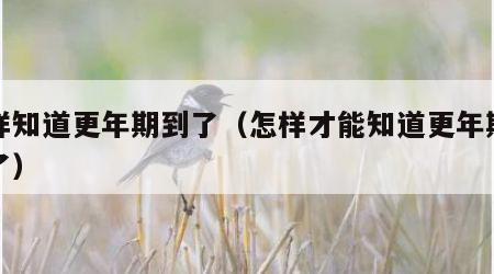 怎样知道更年期到了（怎样才能知道更年期结束了）