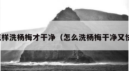 怎样洗杨梅才干净（怎么洗杨梅干净又快）