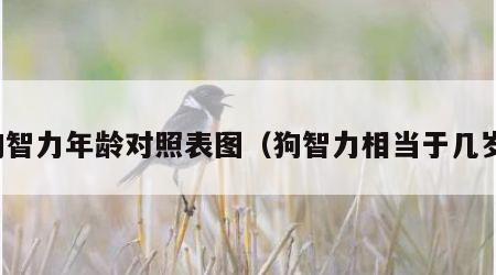 狗智力年龄对照表图（狗智力相当于几岁）