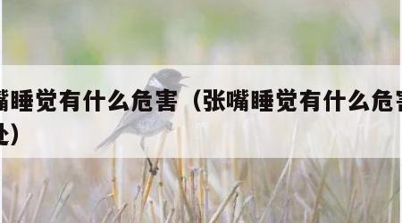 张嘴睡觉有什么危害（张嘴睡觉有什么危害和好处）