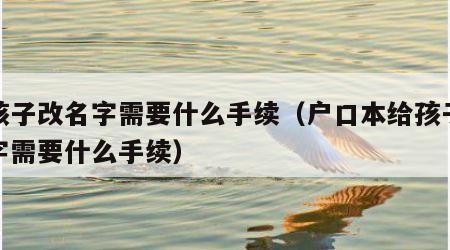 给孩子改名字需要什么手续（户口本给孩子改名字需要什么手续）