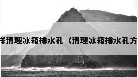 怎样清理冰箱排水孔（清理冰箱排水孔方法）