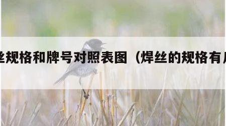 焊丝规格和牌号对照表图（焊丝的规格有几种）
