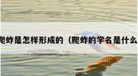 爬蚱是怎样形成的（爬蚱的学名是什么）
