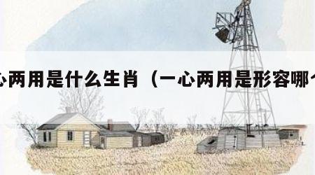 一心两用是什么生肖（一心两用是形容哪个动物）