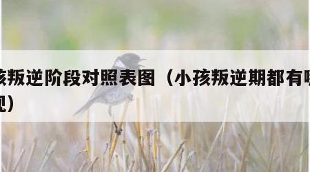 小孩叛逆阶段对照表图（小孩叛逆期都有哪些表现）