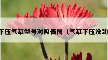下压气缸型号对照表图（气缸下压没劲）