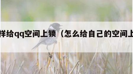 怎样给qq空间上锁（怎么给自己的空间上锁）