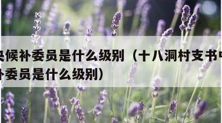 中央候补委员是什么级别（十八洞村支书中央候补委员是什么级别）