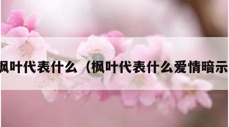 枫叶代表什么（枫叶代表什么爱情暗示）