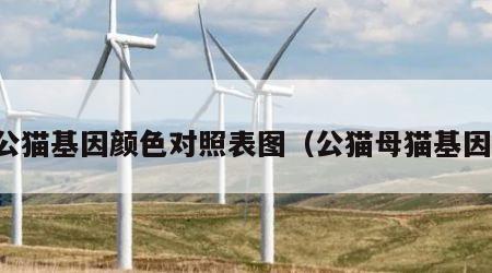 公猫基因颜色对照表图（公猫母猫基因）