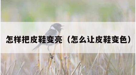 怎样把皮鞋变亮（怎么让皮鞋变色）