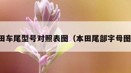 本田车尾型号对照表图（本田尾部字母图片）