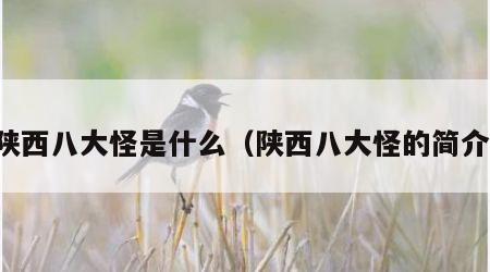 陕西八大怪是什么（陕西八大怪的简介）