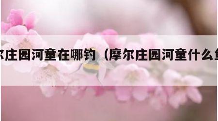 摩尔庄园河童在哪钓（摩尔庄园河童什么鱼饵）
