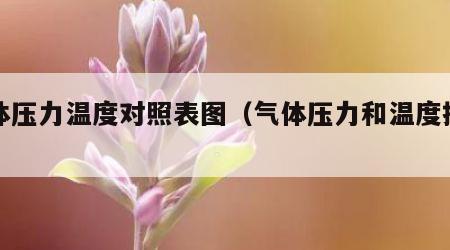 气体压力温度对照表图（气体压力和温度换算）