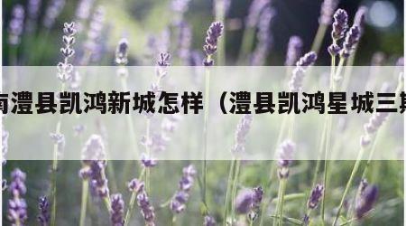 湖南澧县凯鸿新城怎样（澧县凯鸿星城三期户型）