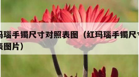 红玛瑙手镯尺寸对照表图（红玛瑙手镯尺寸对照表图片）