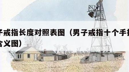 男子戒指长度对照表图（男子戒指十个手指戴法含义图）