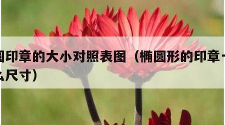 椭圆印章的大小对照表图（椭圆形的印章一般什么尺寸）