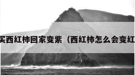 买西红柿回家变紫（西红柿怎么会变红）