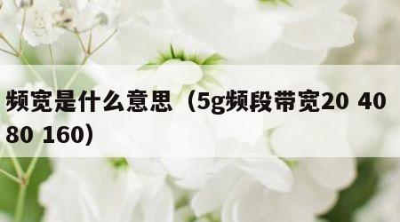 频宽是什么意思（5g频段带宽20 40 80 160）