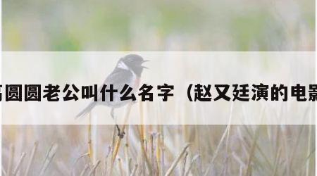 高圆圆老公叫什么名字（赵又廷演的电影）