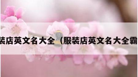 服装店英文名大全（服装店英文名大全霸气）